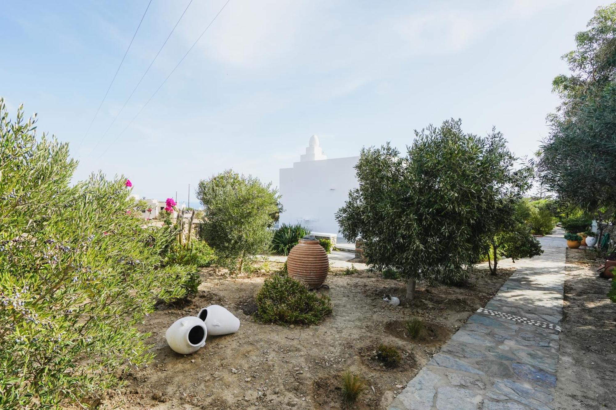 Villa Arades Sifnos With Private Pool Apollonia  Bagian luar foto